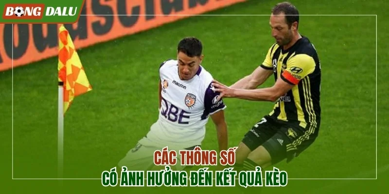Các thông số có ảnh hưởng đến kết quả kèo