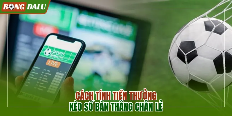 Cách tính tiền thưởng kèo số bàn thắng chẵn lẻ