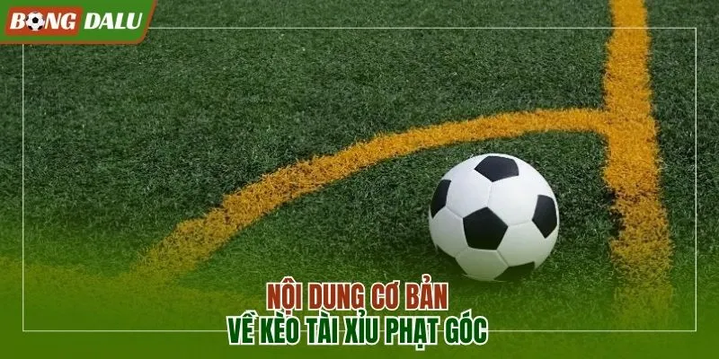 Chia sẻ nội dung cơ bản về kèo tài xỉu phạt góc