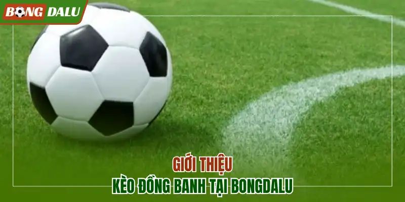 Giới thiệu kèo đồng banh tại Bongdalu