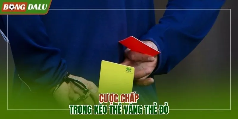 Hình thức chấp lá phạt trong cá độ Thể thao