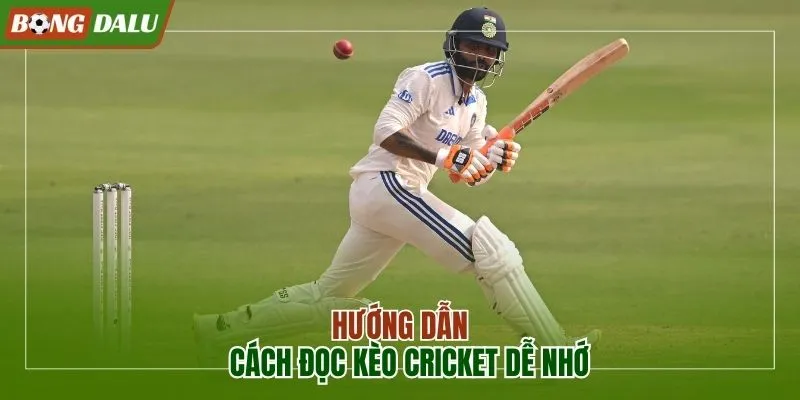 Hướng dẫn cách đọc kèo Cricket dễ nhớ