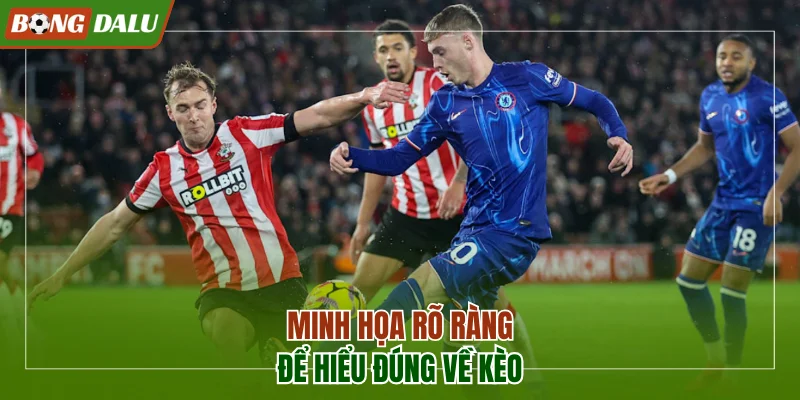 Minh họa rõ ràng để hiểu đúng về kèo