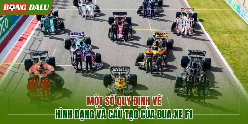 Một số quy định về hình dạng và cấu tạo của đua xe F1
