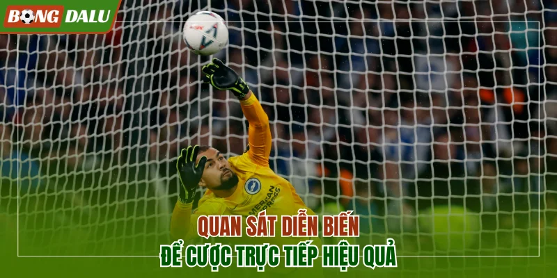 Quan sát diễn biến trận để cược trực tiếp hiệu quả